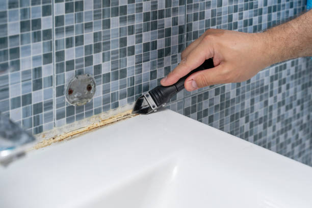 Best Emergency Mold Remediation in Algonquin, MD